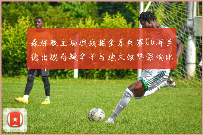 森林狼主场迎战掘金系列赛G6海兰德出战存疑华子与迪文缺阵影响比赛走势